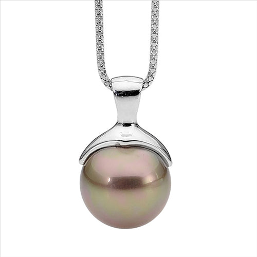 SS Grey shell based pendant pendant and chain