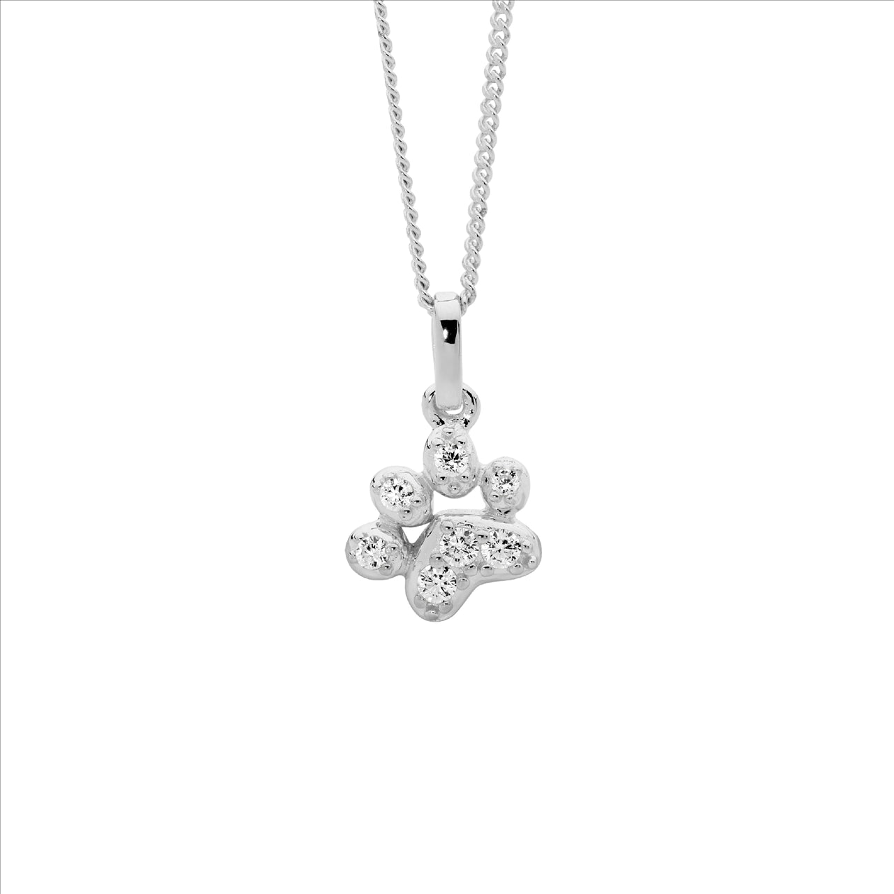 Paw pendant & chain